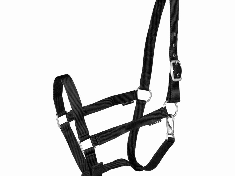 HALSTER BASIC