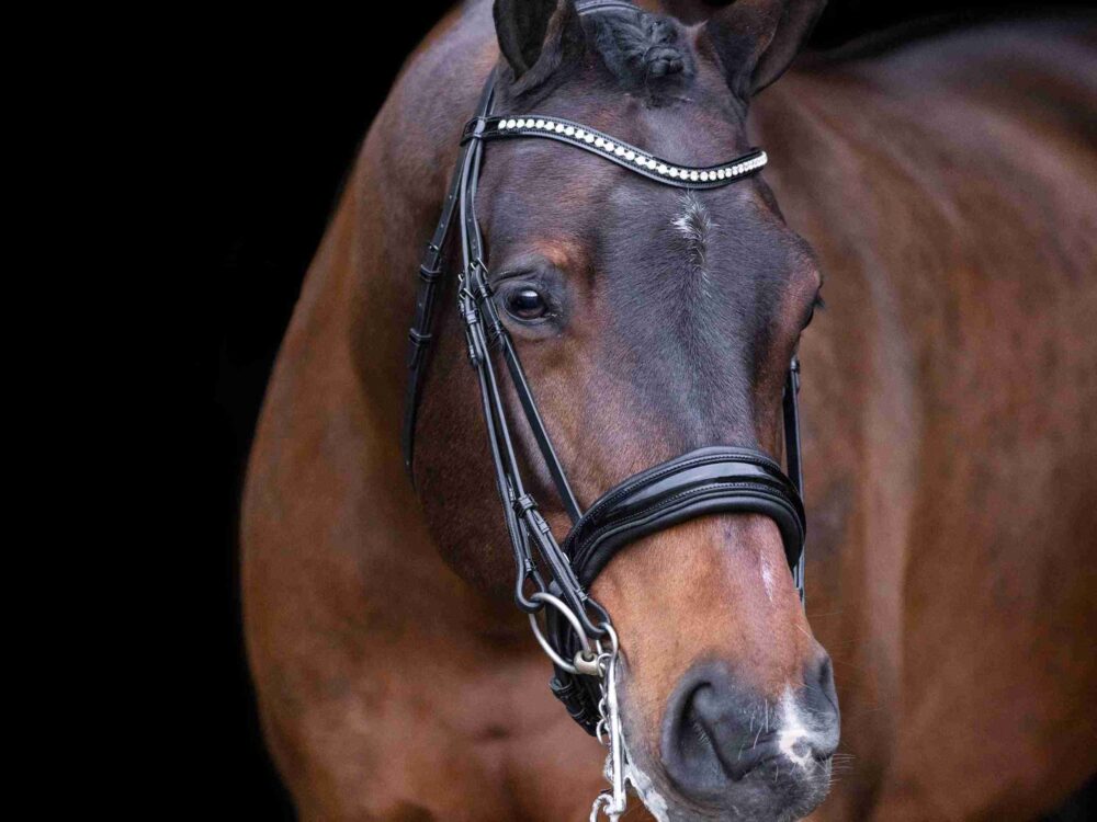 Imperial Riding Hoofdstel stang en trens  Athena