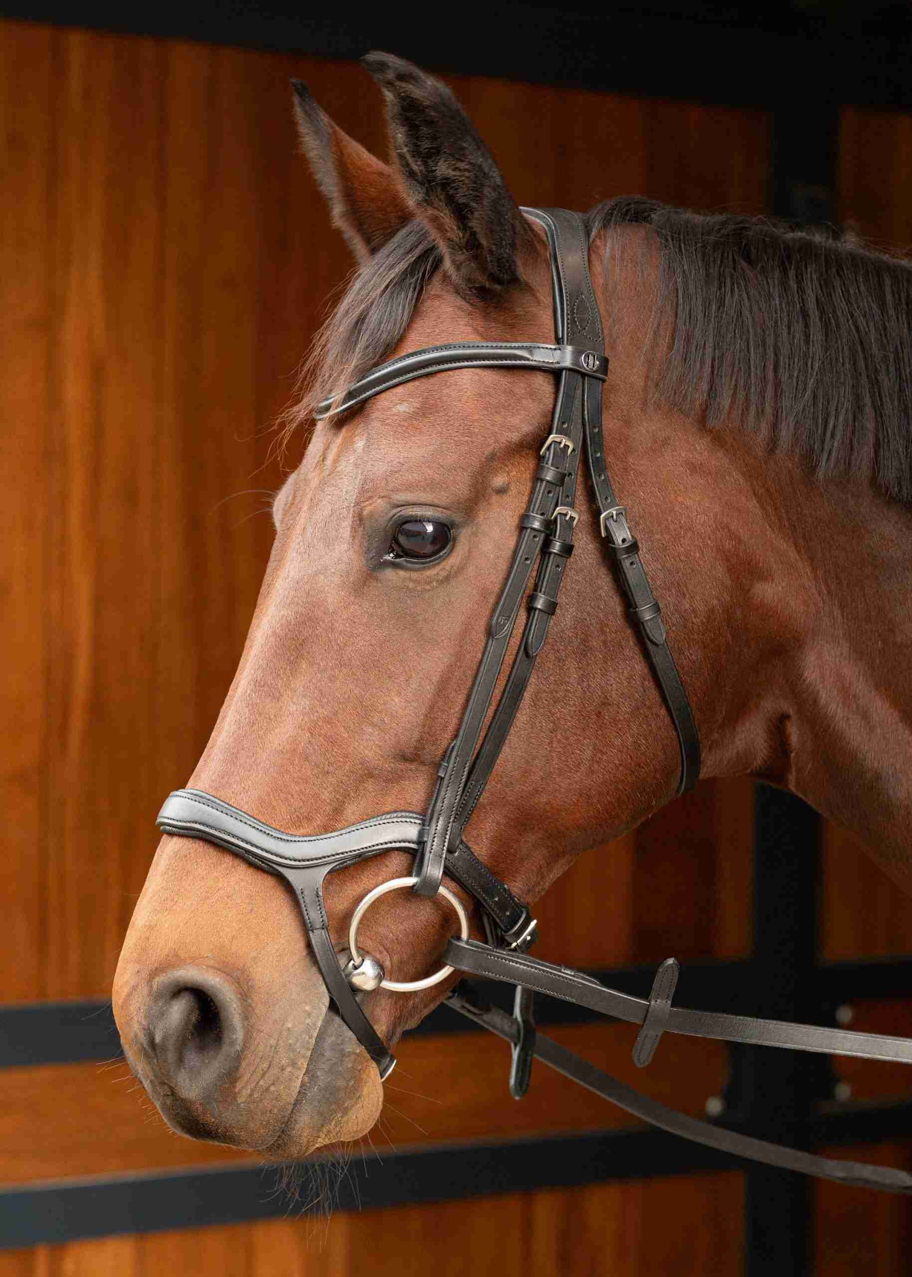 Hoofdstel Anatomic - Afbeelding 2