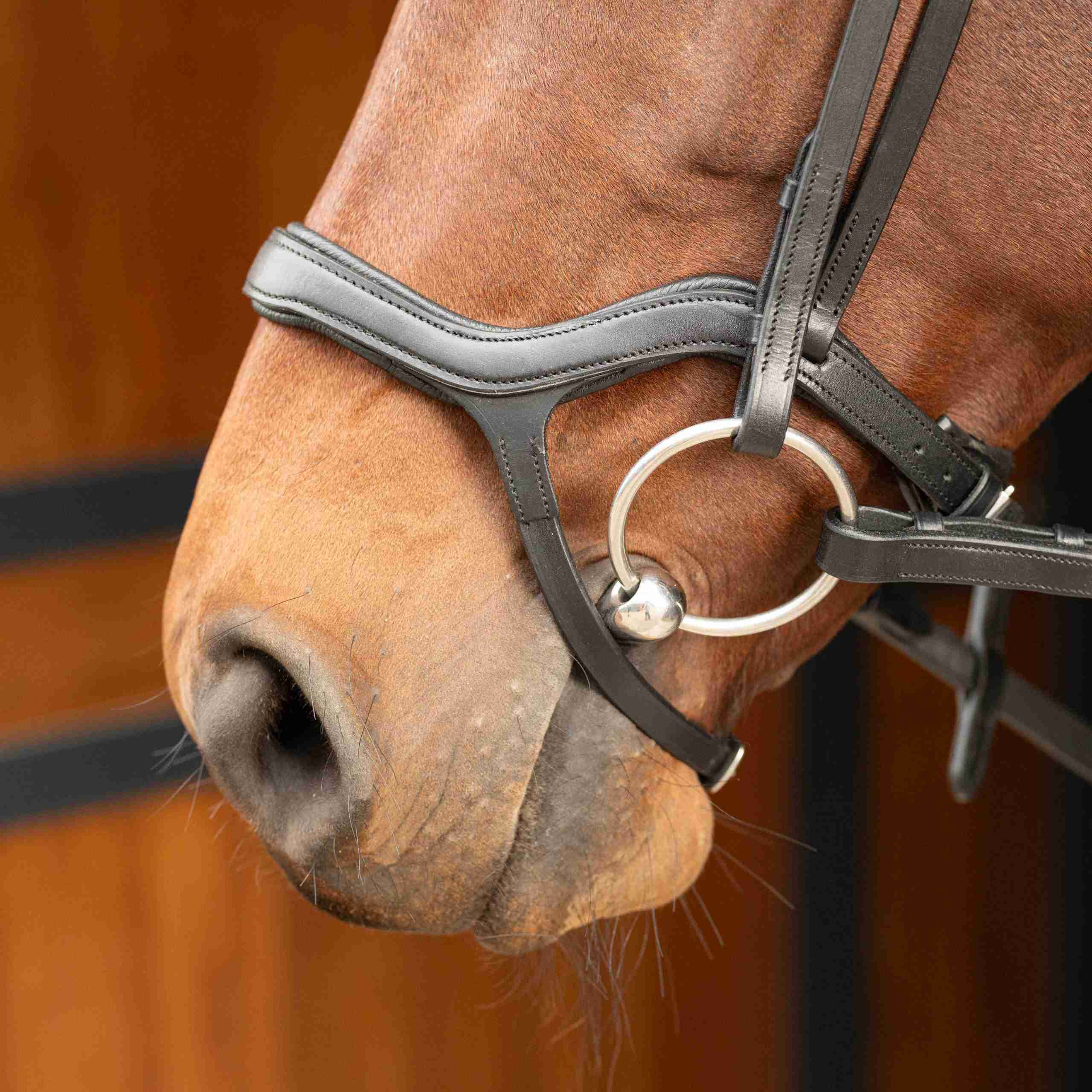 Hoofdstel Anatomic - Afbeelding 3