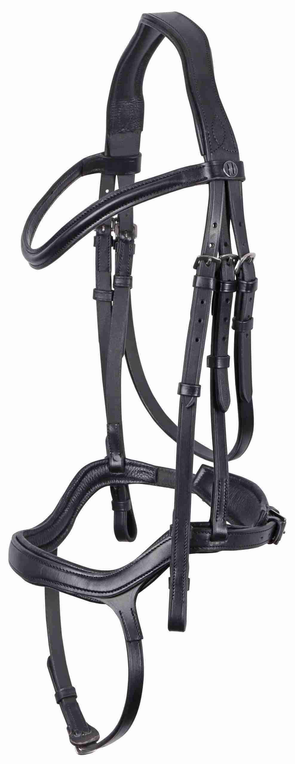 Hoofdstel Anatomic