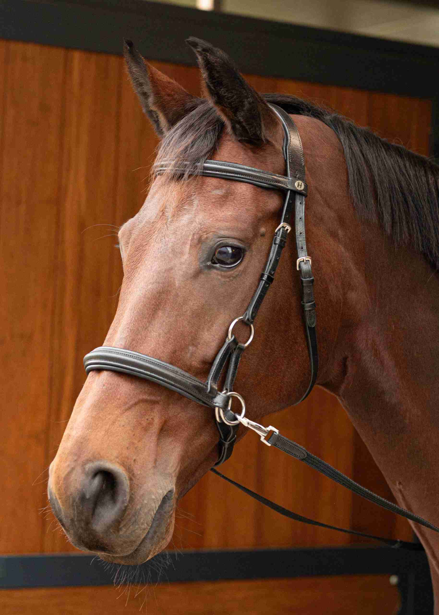 Hoofdstel Bitloos Sidepull