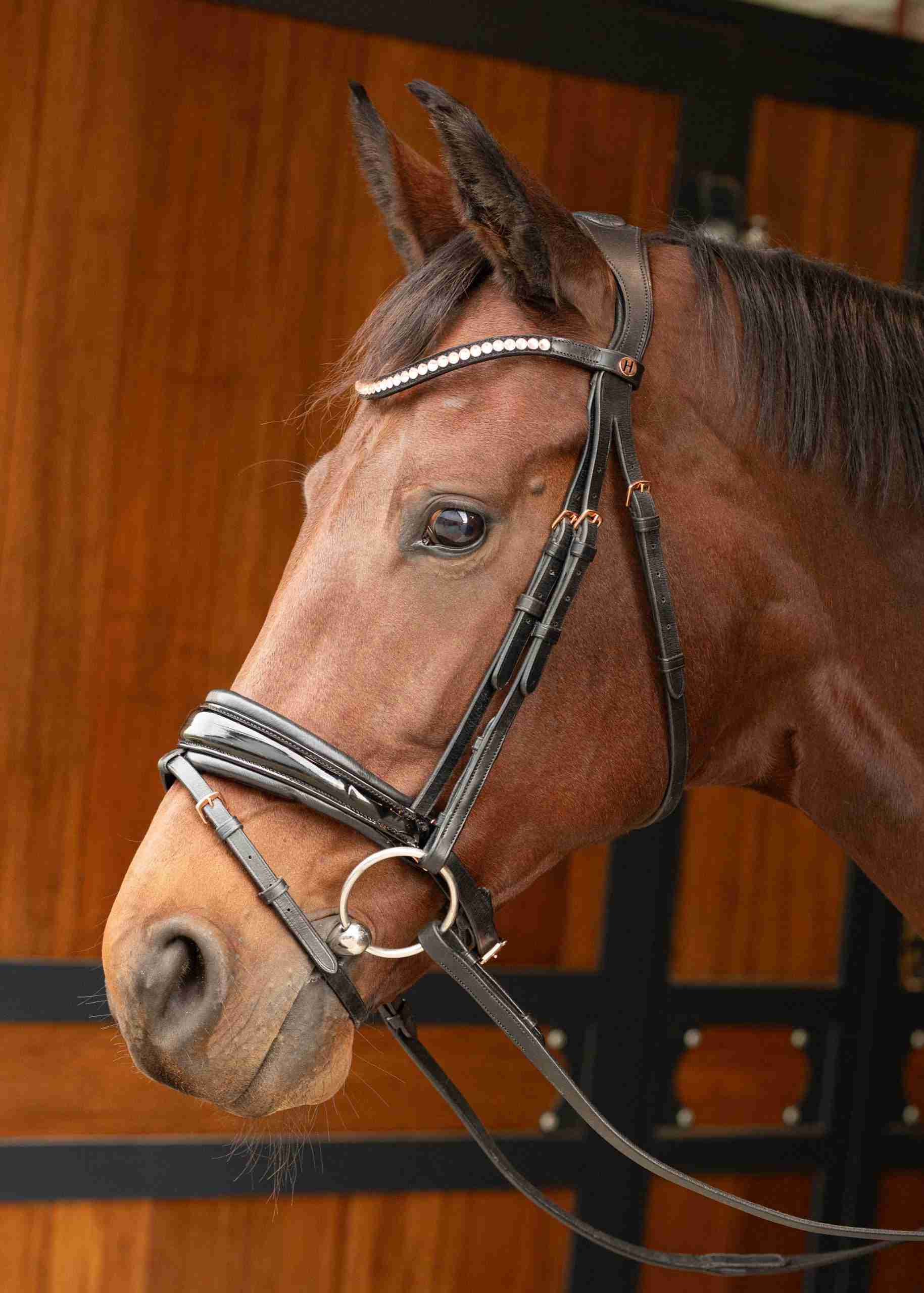 Hoofdstel Rosegold Lacque II - Afbeelding 2