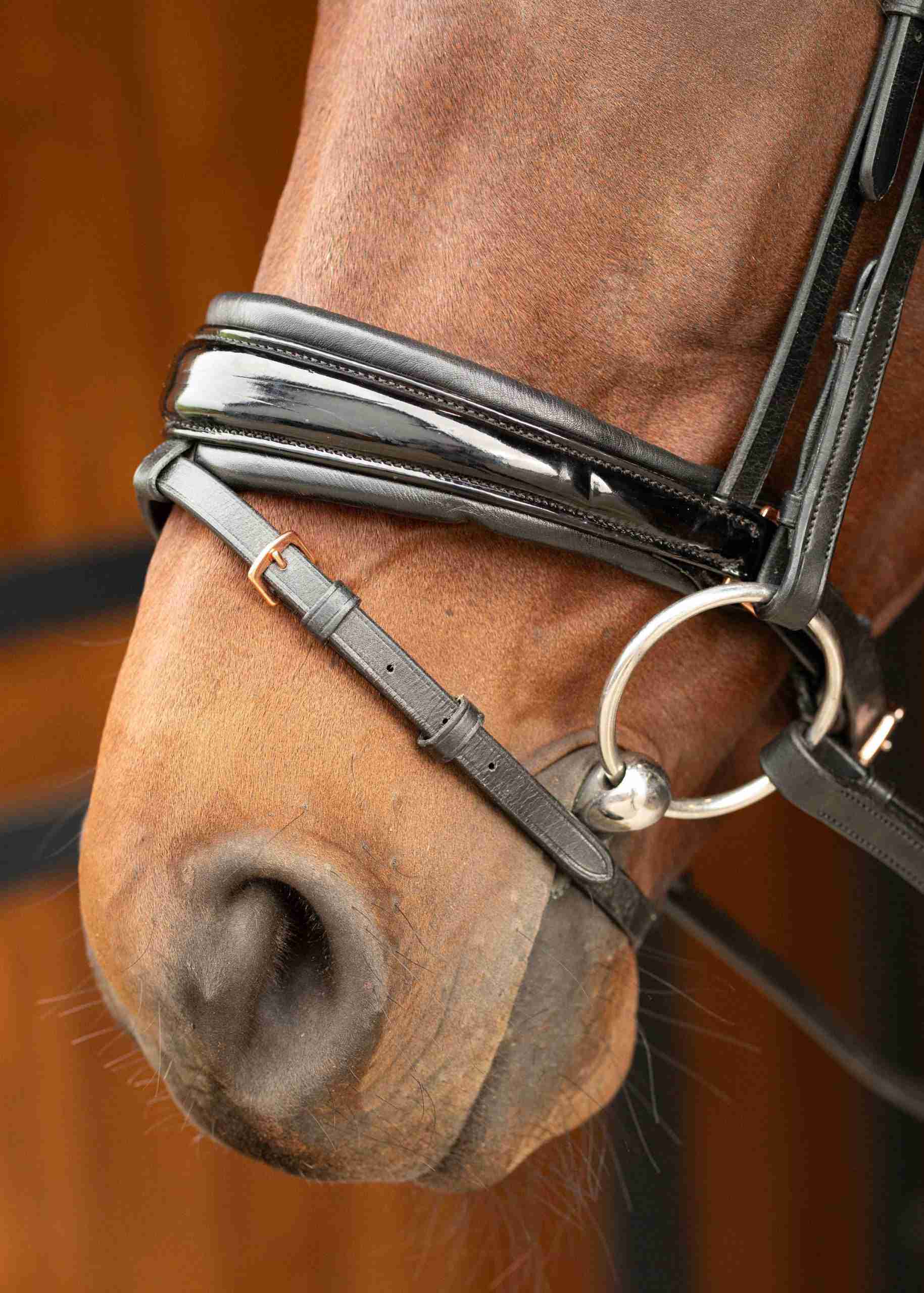 Hoofdstel Rosegold Lacque II - Afbeelding 3