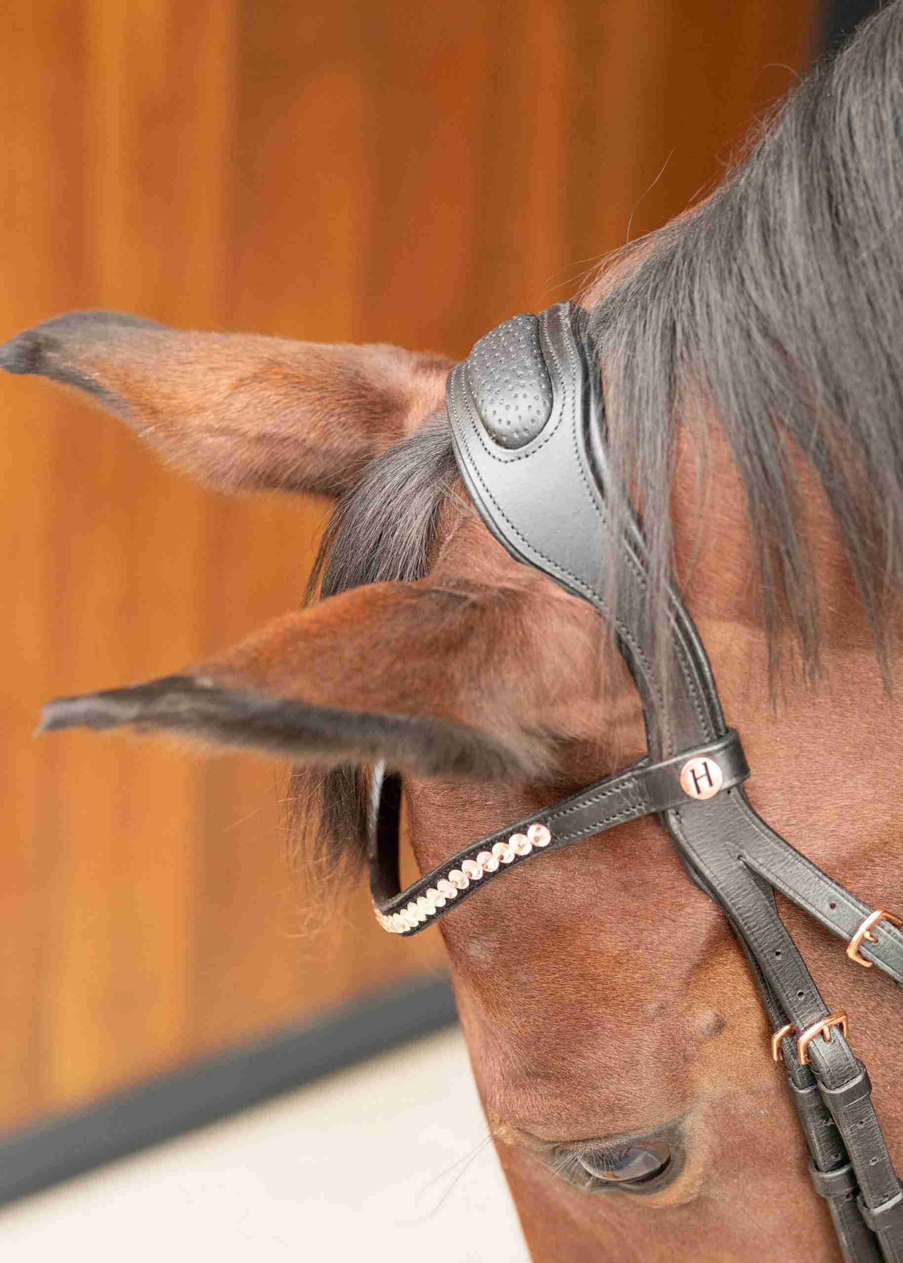 Hoofdstel Rosegold Lacque II - Afbeelding 6