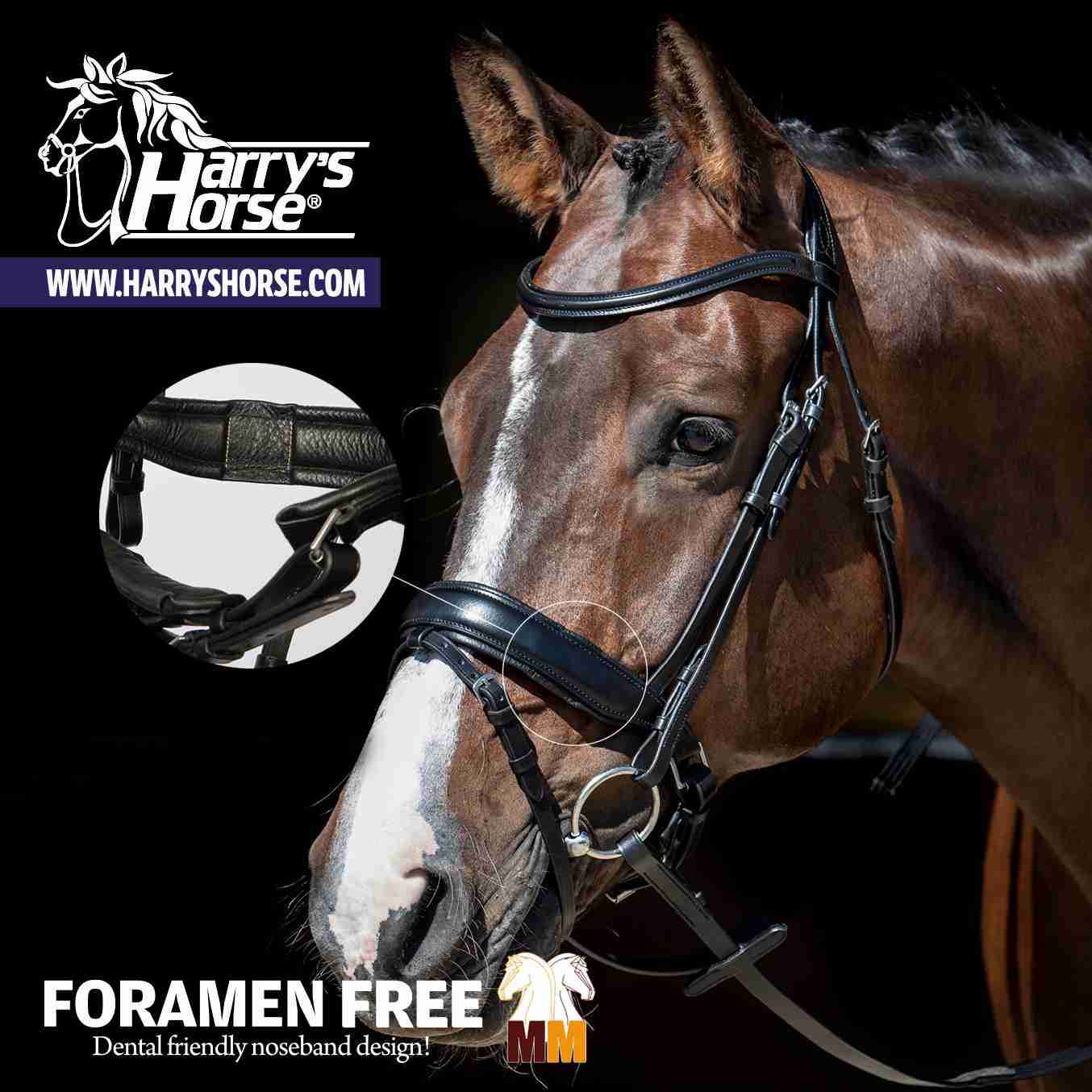 Hoofdstel MM Foramen Free - Afbeelding 5