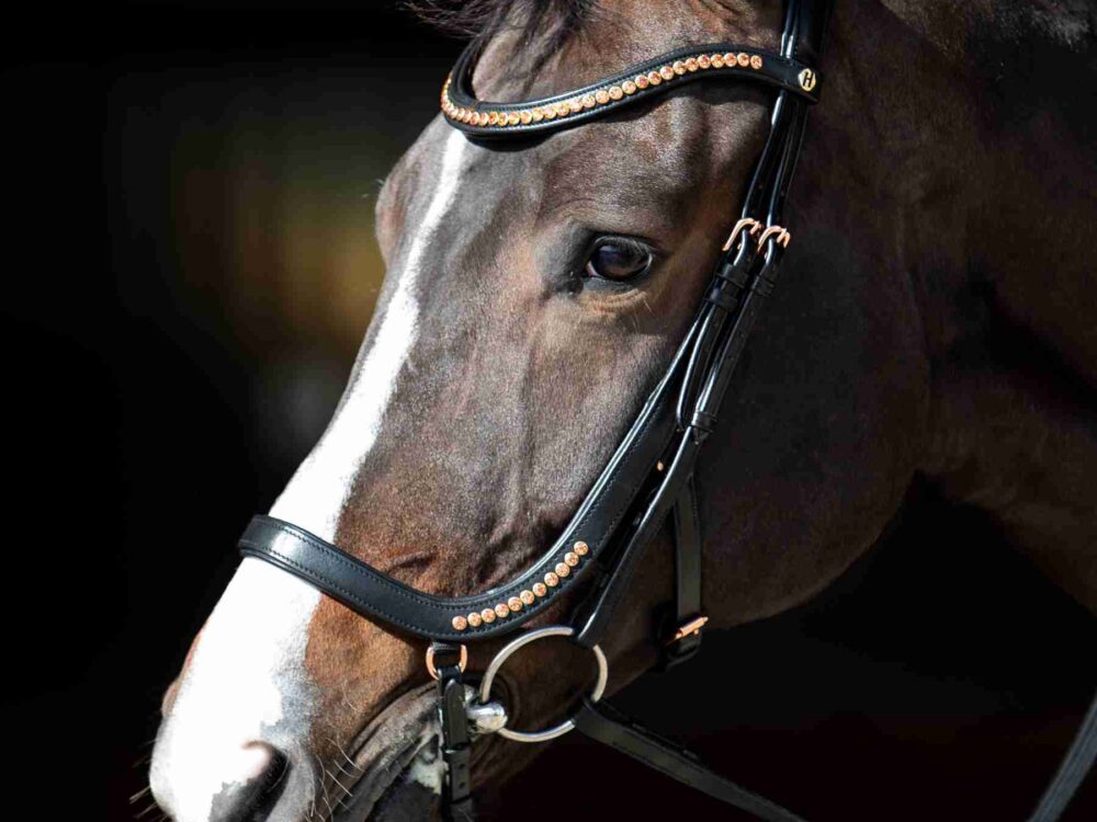 Hoofdstel Anatomic Rosegold