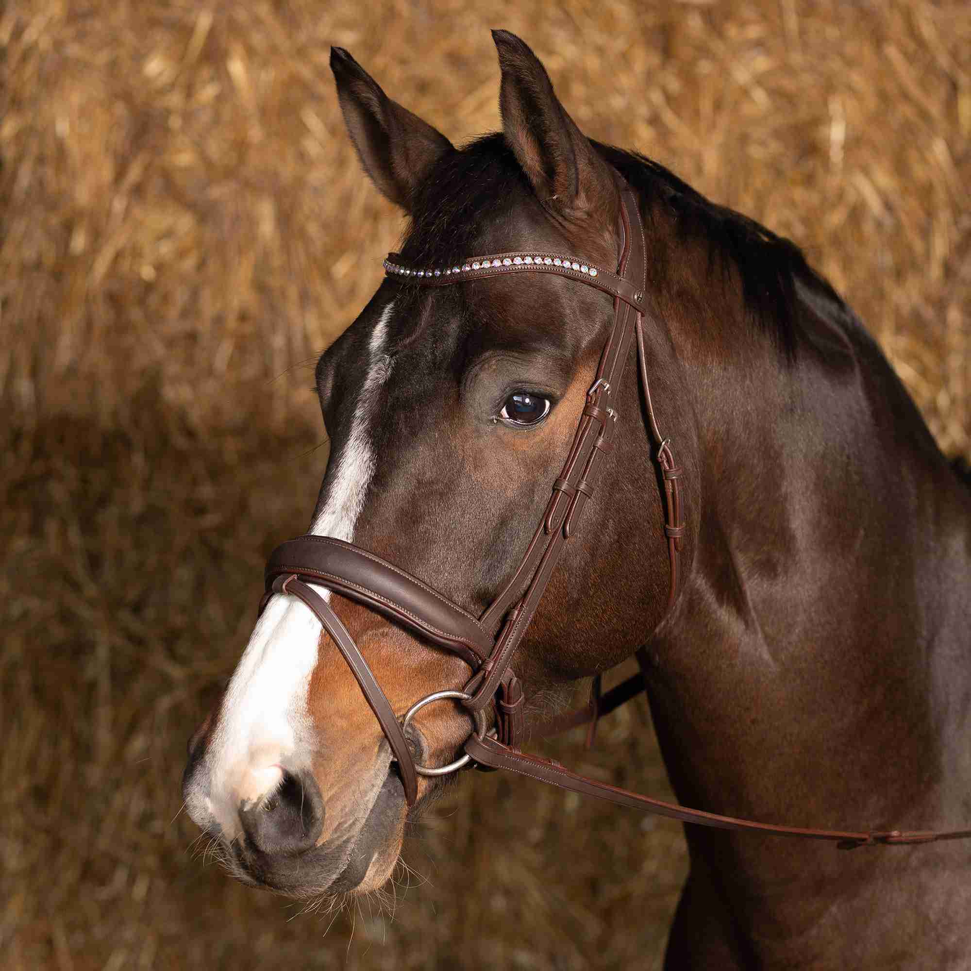 Hoofdstel Soft Matt - Afbeelding 5