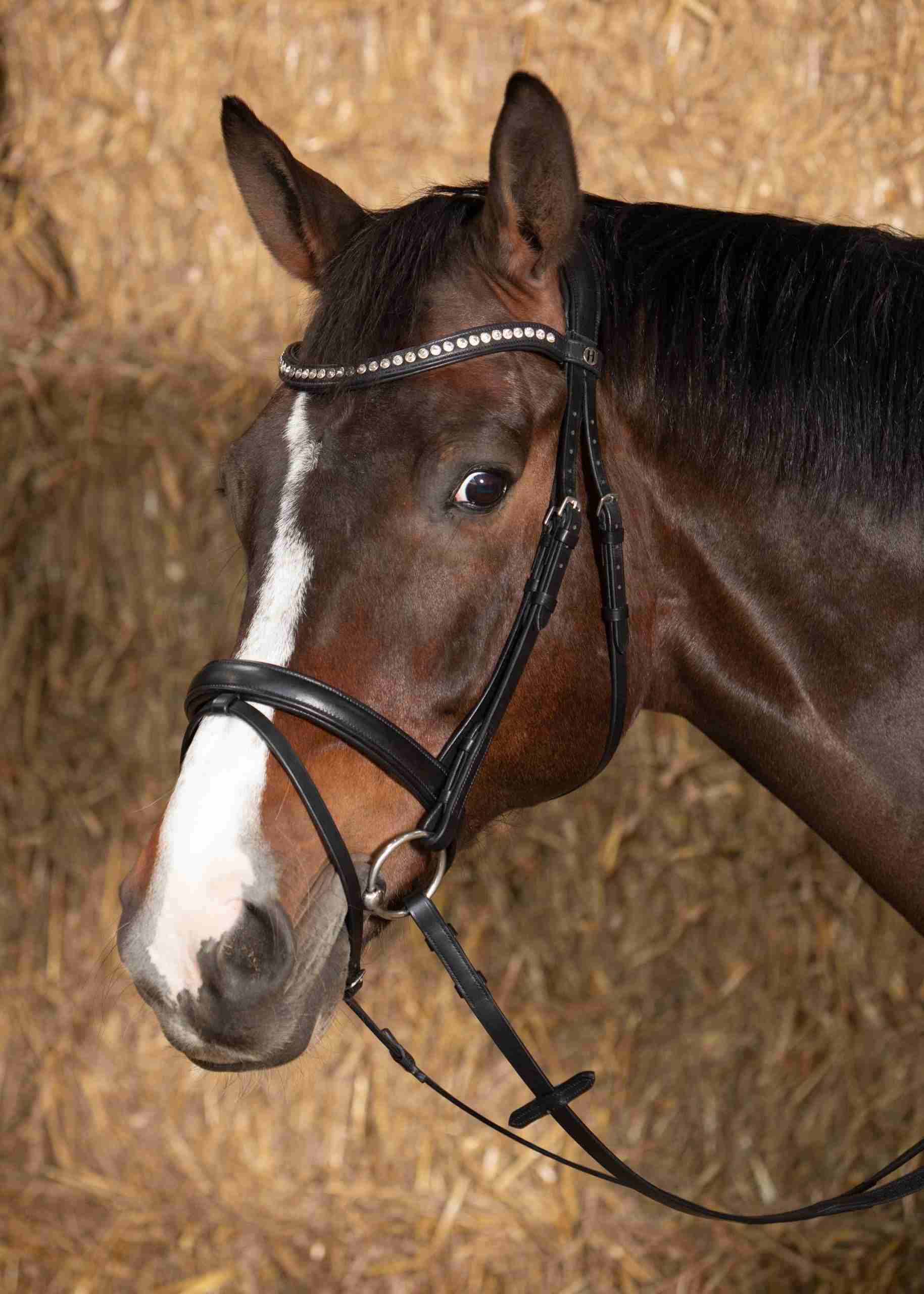 Hoofdstel Nero Soft - Afbeelding 5