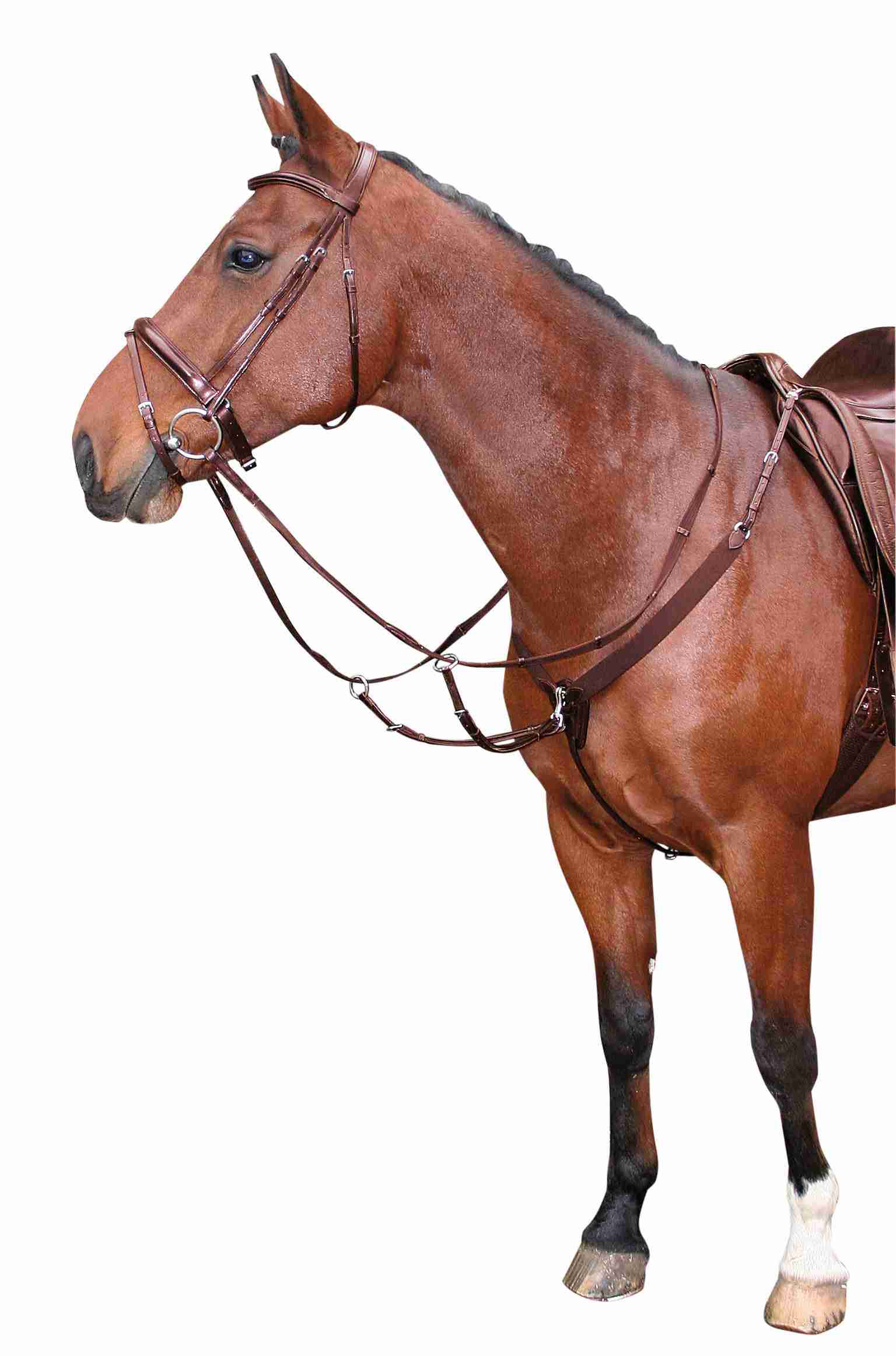 Harry's Horse Elastisch Voortuig - Afbeelding 2