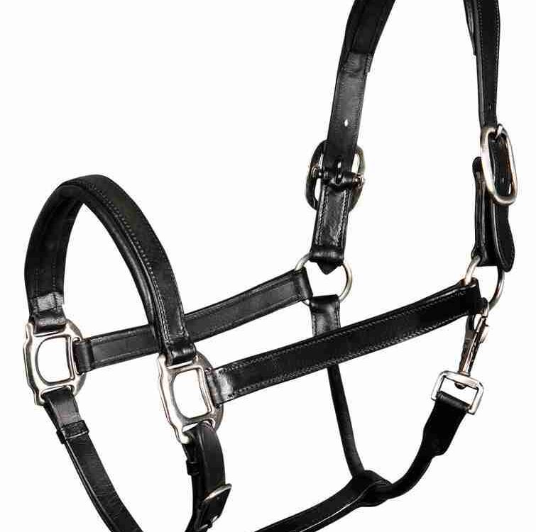 Harry's Horse Halster Leder Padded