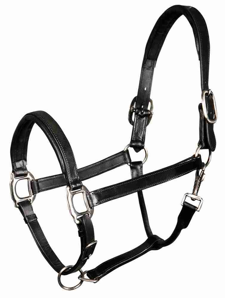 Harry's Horse Halster Leder Padded