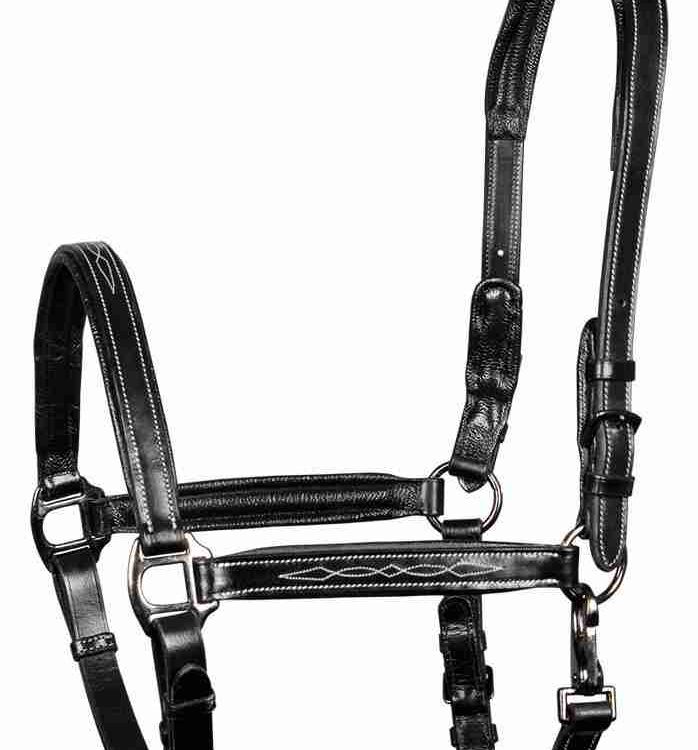 Harry's Horse Halster Leder Supreme