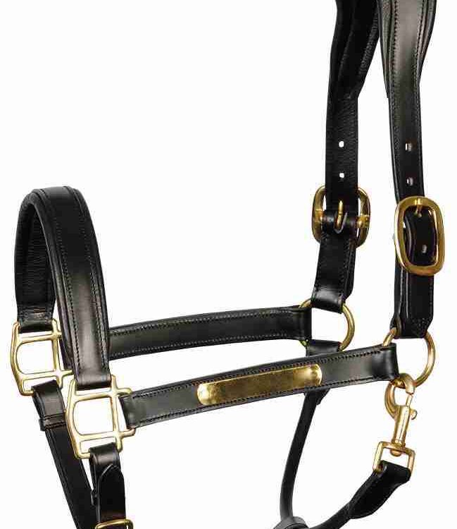 Harry's Horse Halster Leder Anatomic