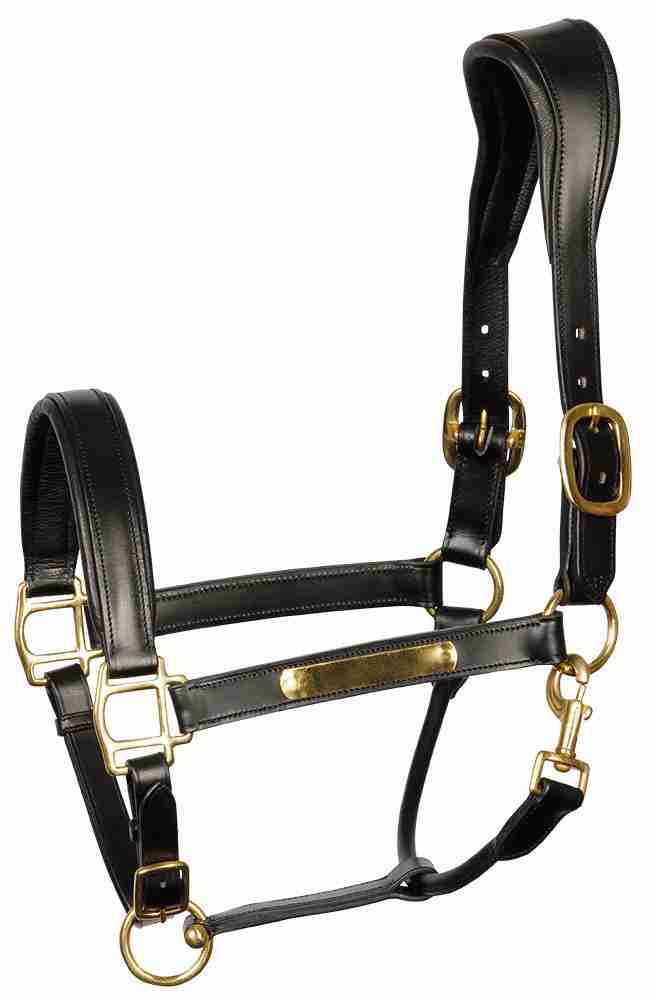 Harry's Horse Halster Leder Anatomic