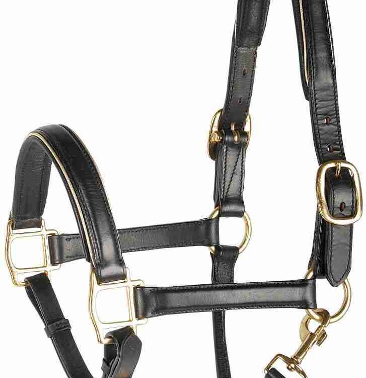 Harry's Horse Halster Leder met bies