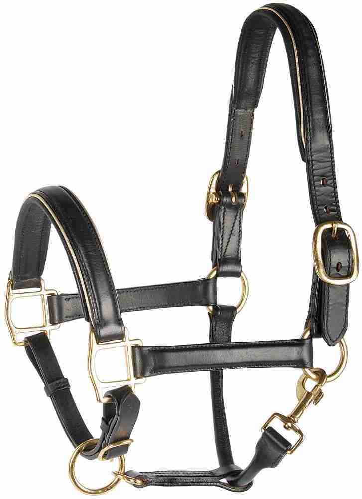 Harry's Horse Halster Leder met bies