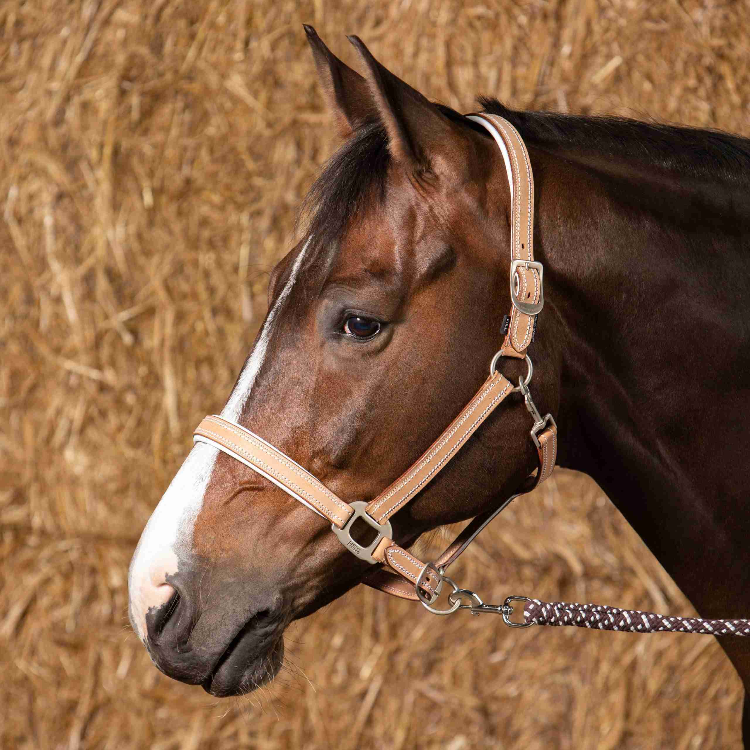 Harry's Horse Halster Leder Cremello - Afbeelding 3
