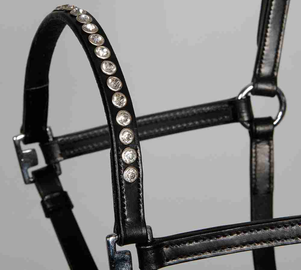 Pony/veulenhalster leder Crystal - Afbeelding 2