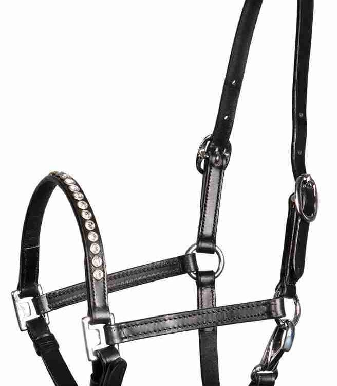 Pony/veulenhalster leder Crystal