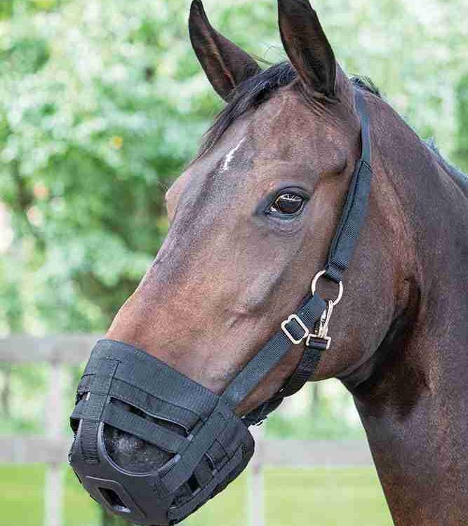 Harry's Horse Graasmasker Grazing muzzle Air