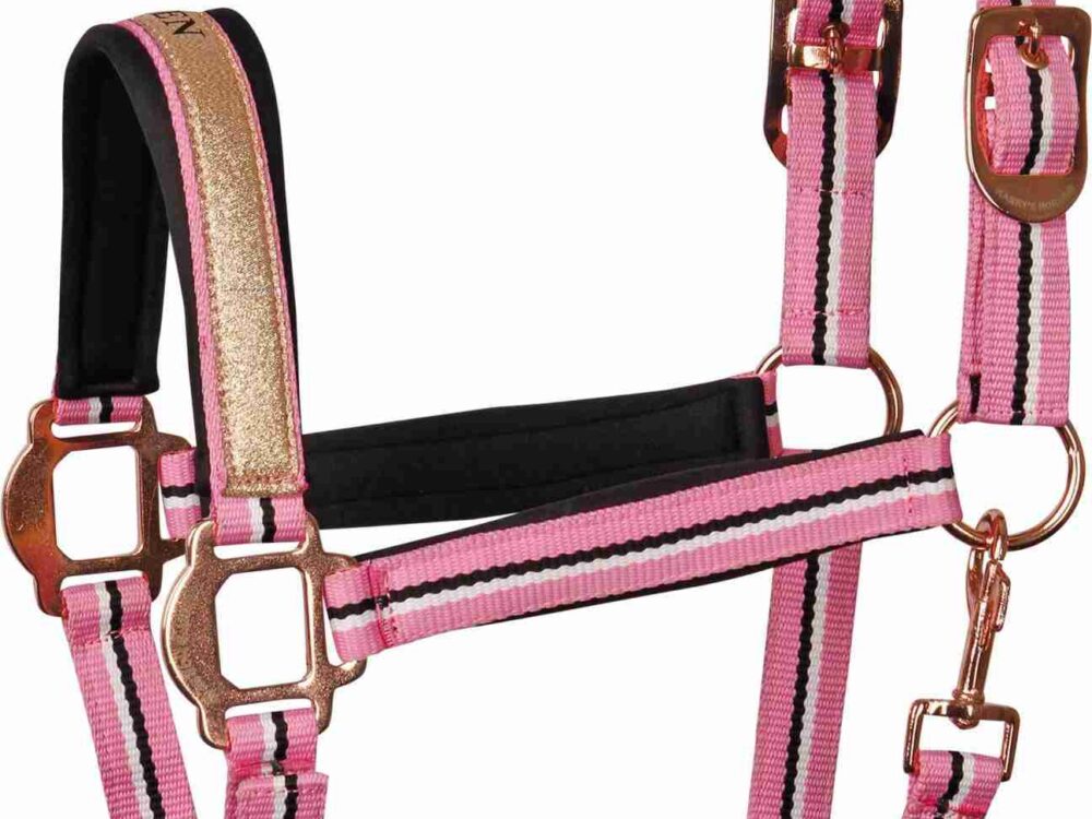 Harry's Horse Halsterset Mare