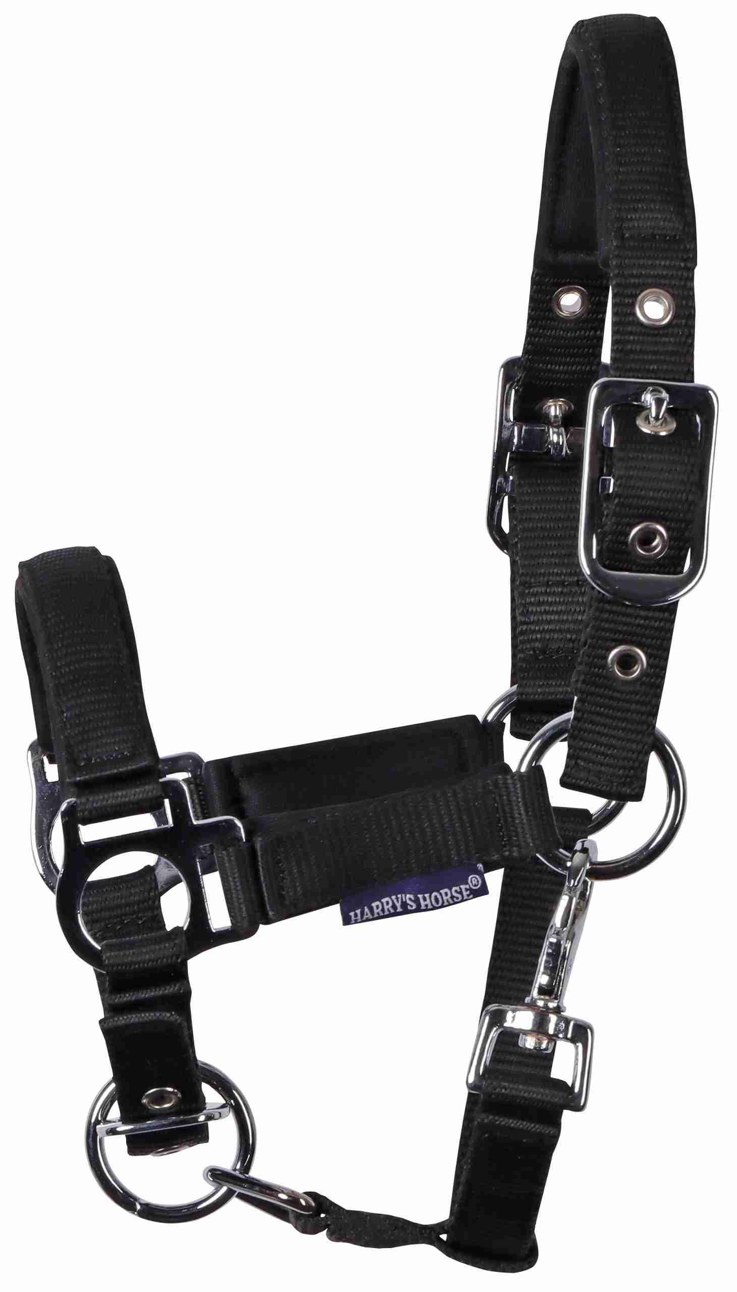 Veulenhalster Padded - Afbeelding 2