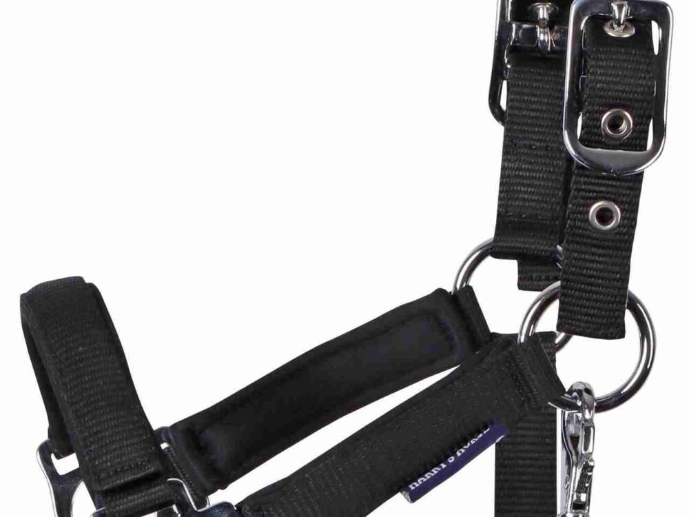 Veulenhalster Padded