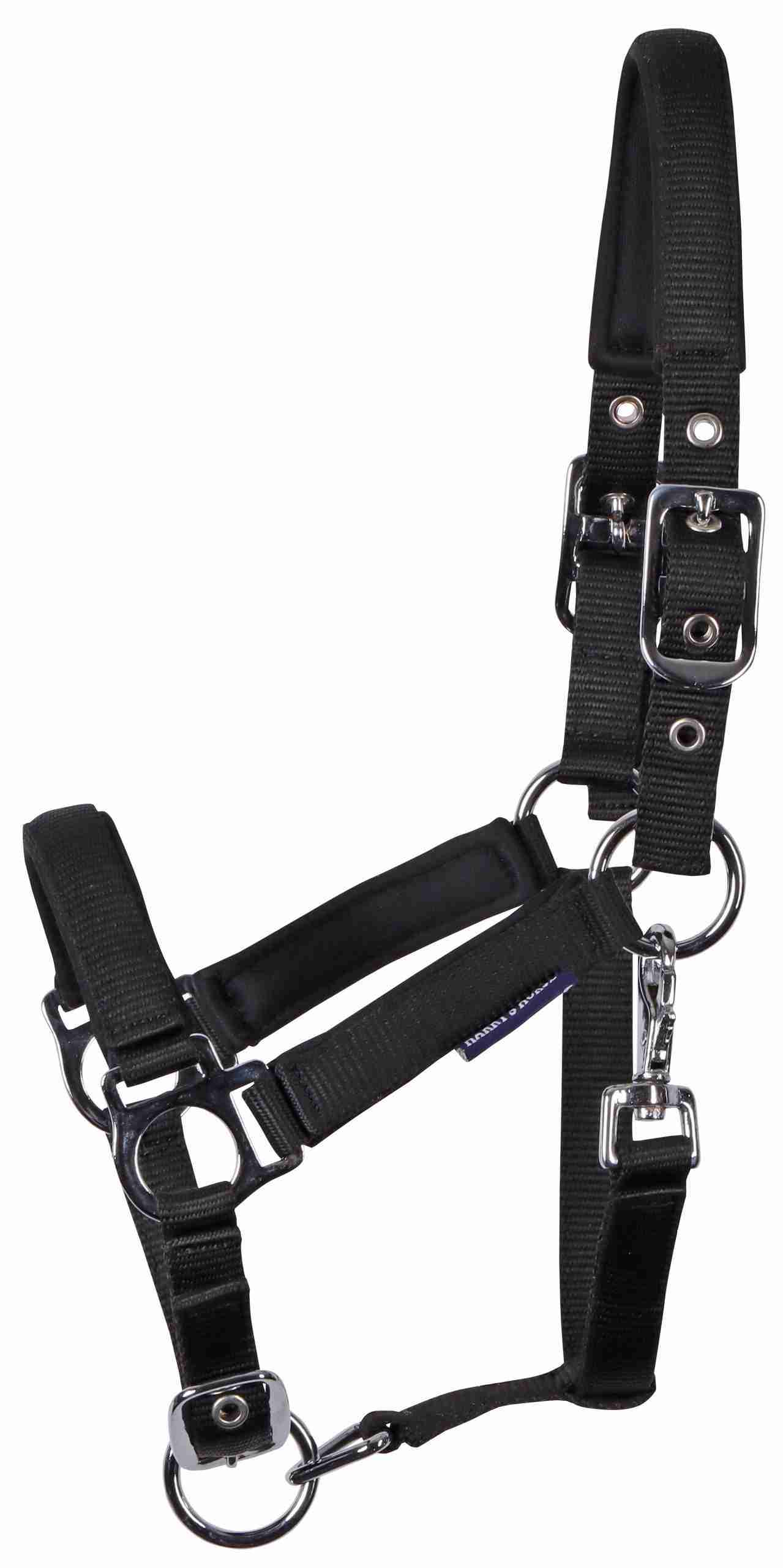Veulenhalster Padded