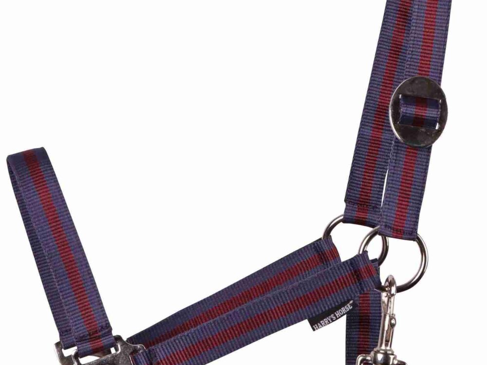Harry's Horse Halster Economy