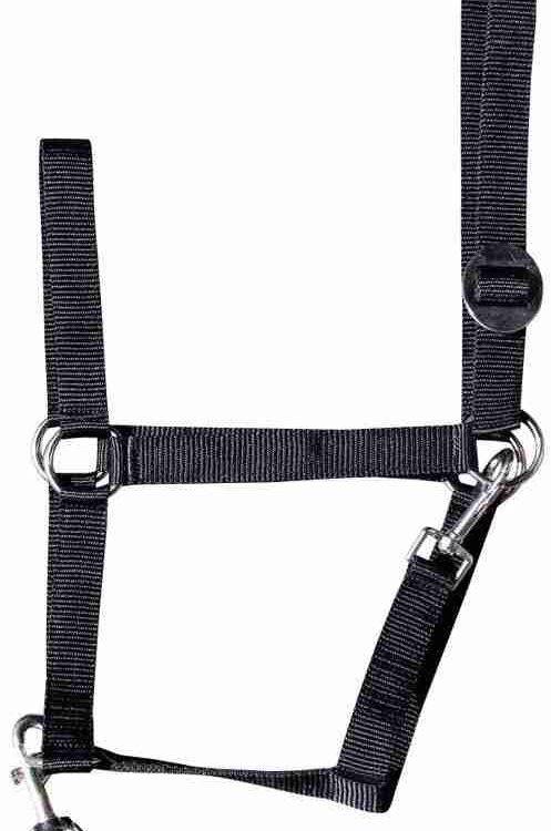 Harry's Horse Halsterset Initial