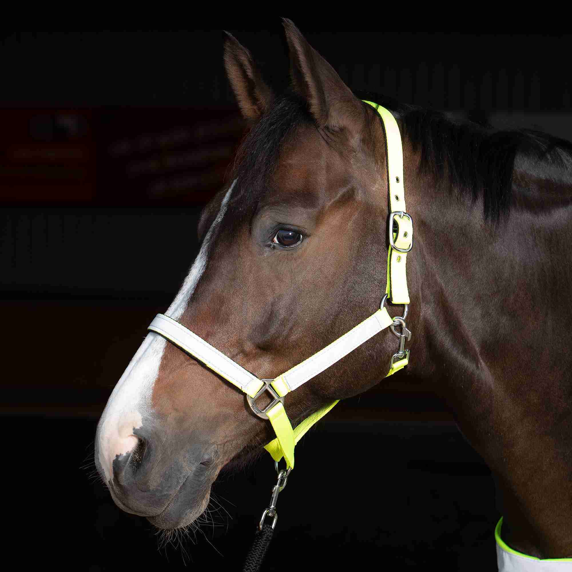 Harry's Horse Halster Reflective - Afbeelding 3