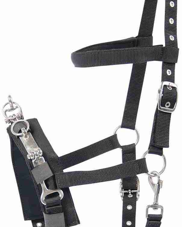 Kaptoom Nylon