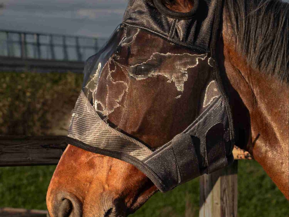 Vliegenmasker Flyshield zonder oren