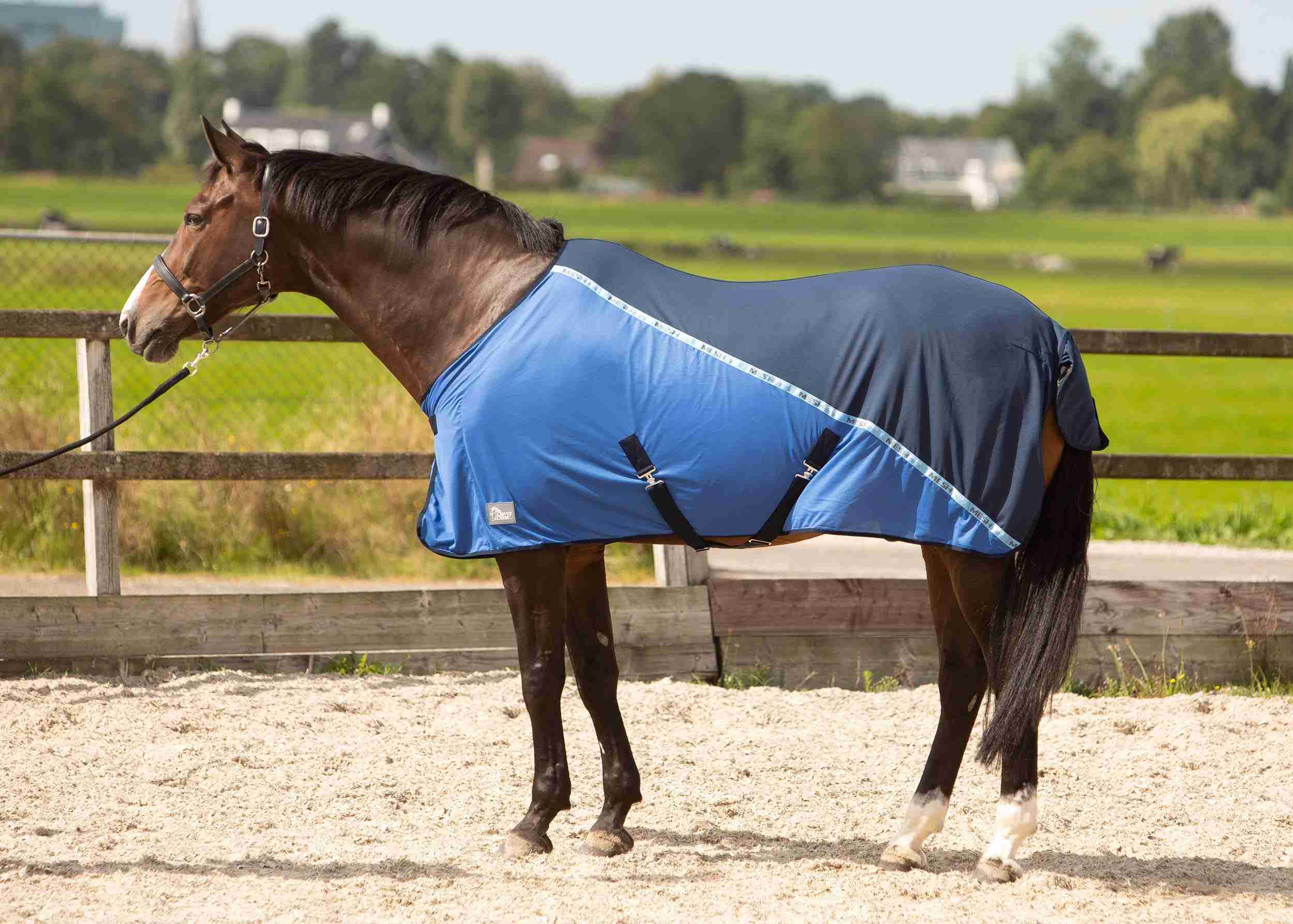 Harry's Horse Coolerdeken Mesh Pro
