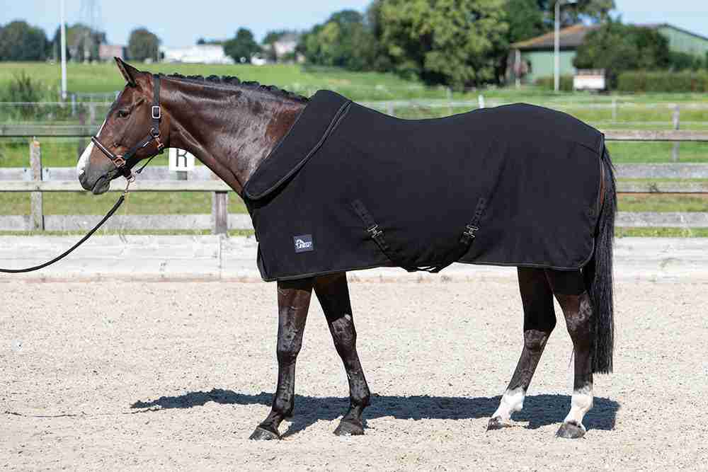 Harry's Horse Fleecedeken met Oprolbare Nek
