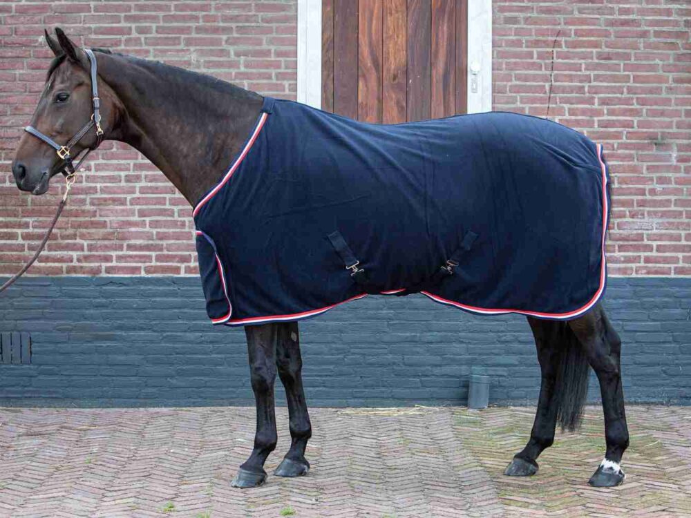 Harry's Horse Fleecedeken Master