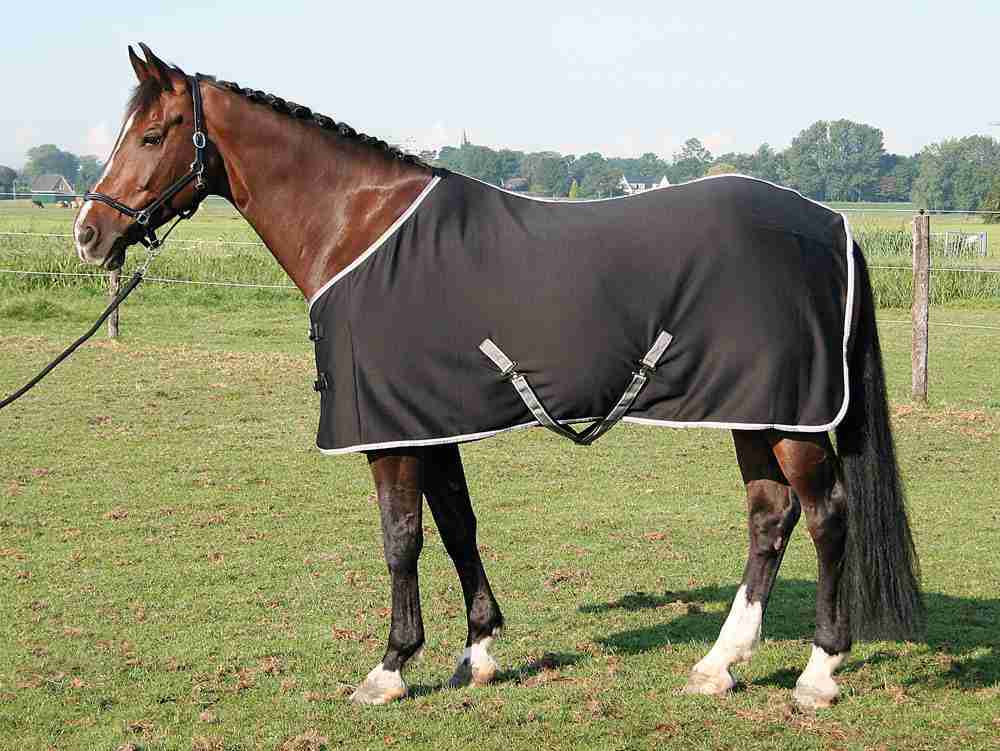 Harry's Horse Coolerdeken Jersey