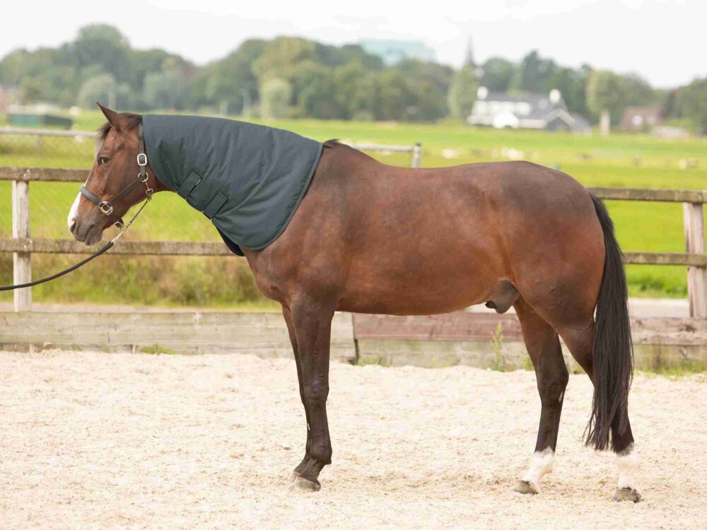 Harry's Horse Halsstuk Thor 200gr