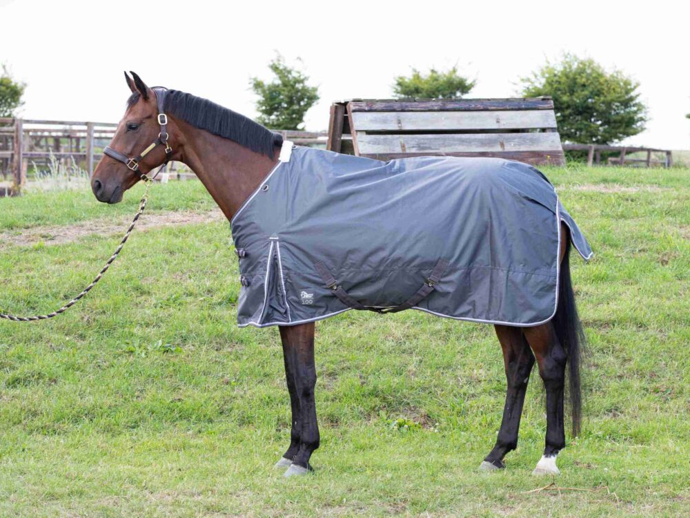 Regendeken Thor 100gr