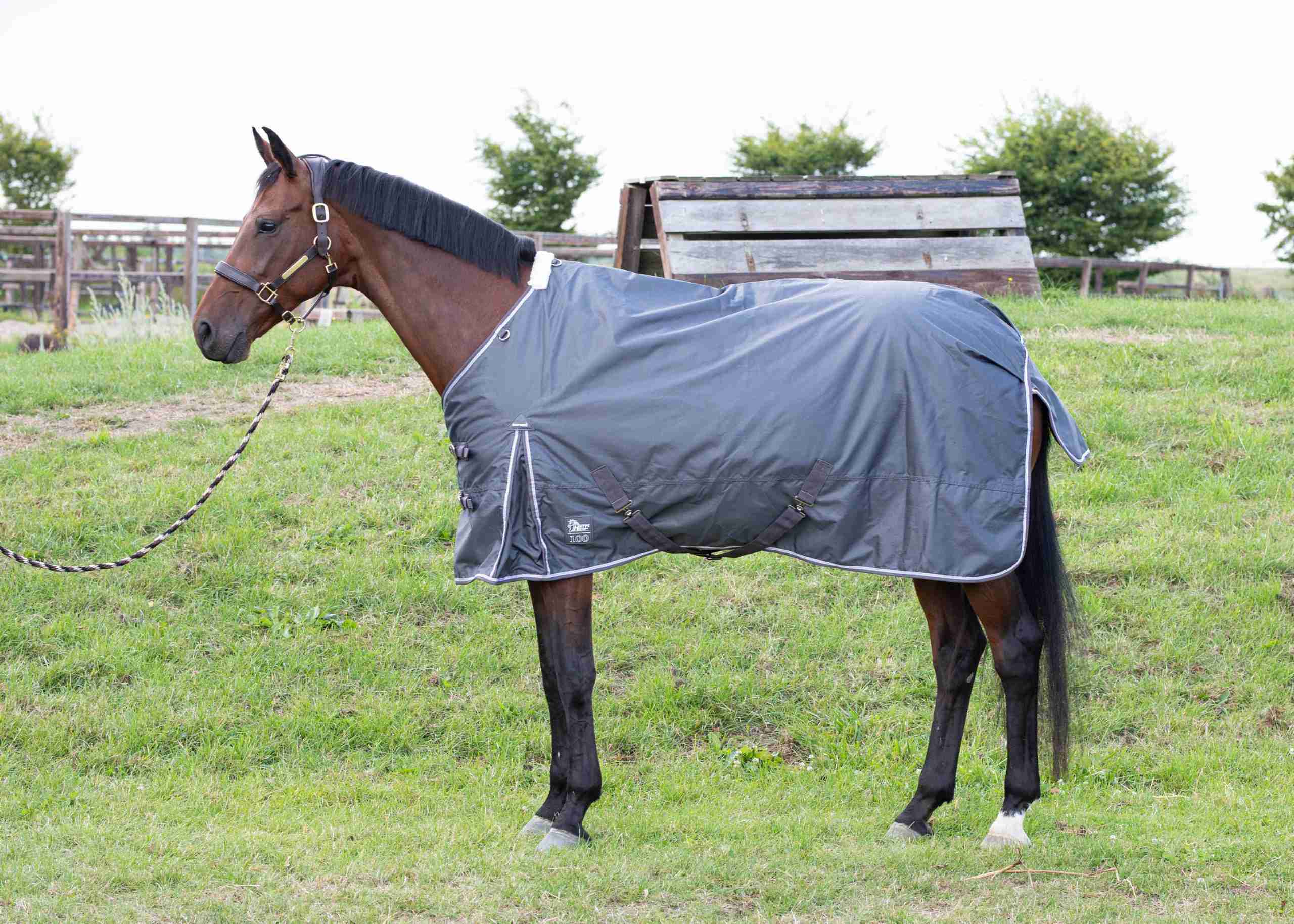 Regendeken Thor 100gr