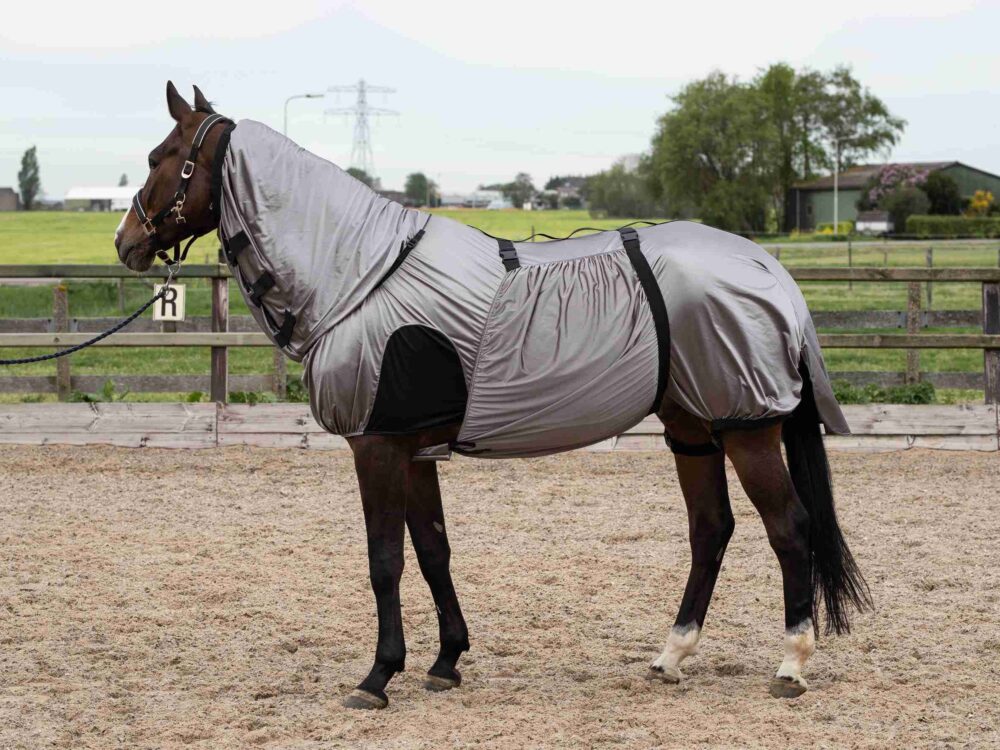 Harry's Horse Eczeemdeken UV