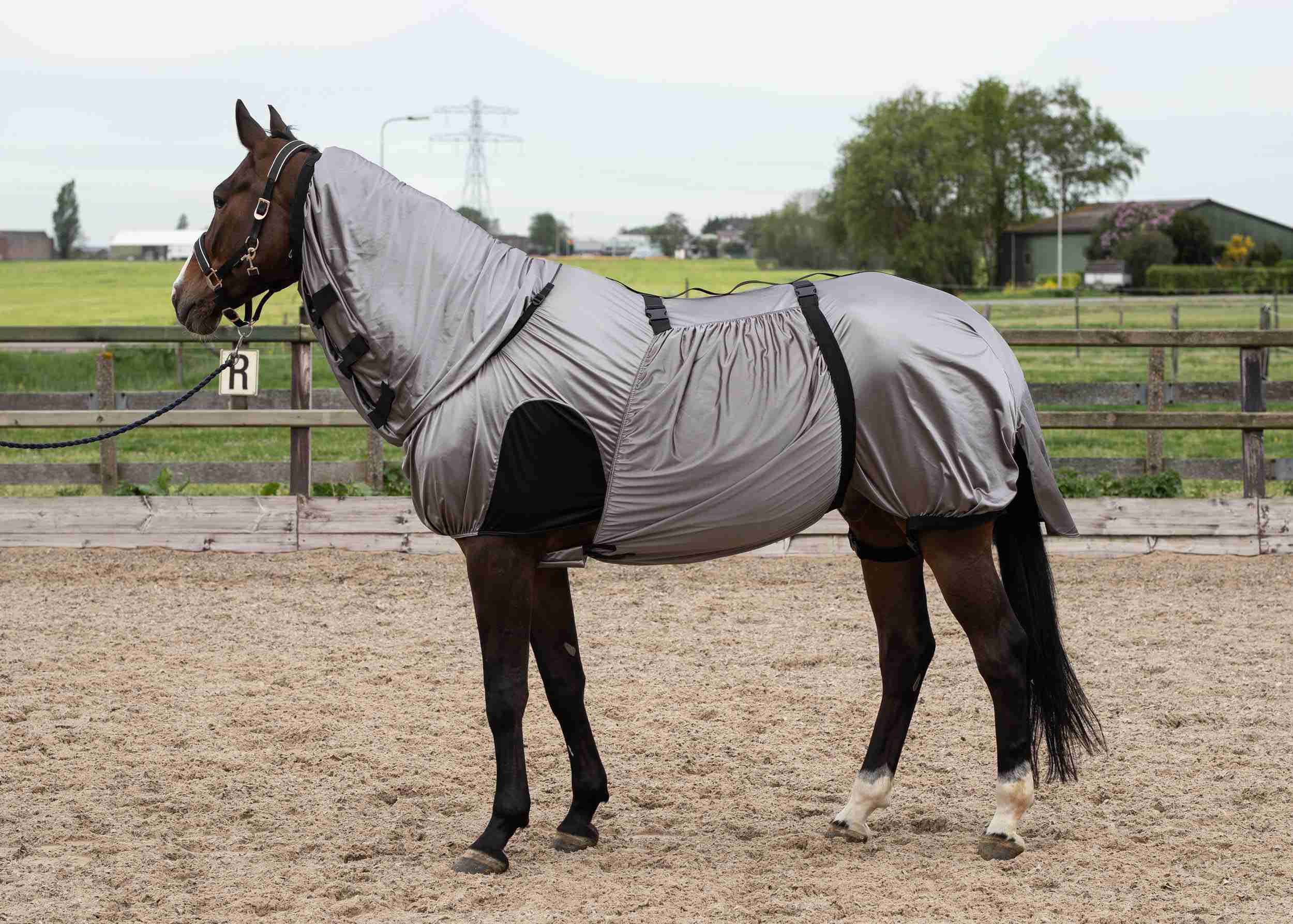 Harry's Horse Eczeemdeken UV