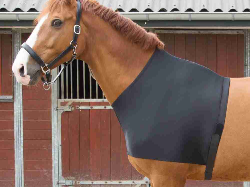 Harry's Horse Harry's Horse Borstbeschermer Elastic