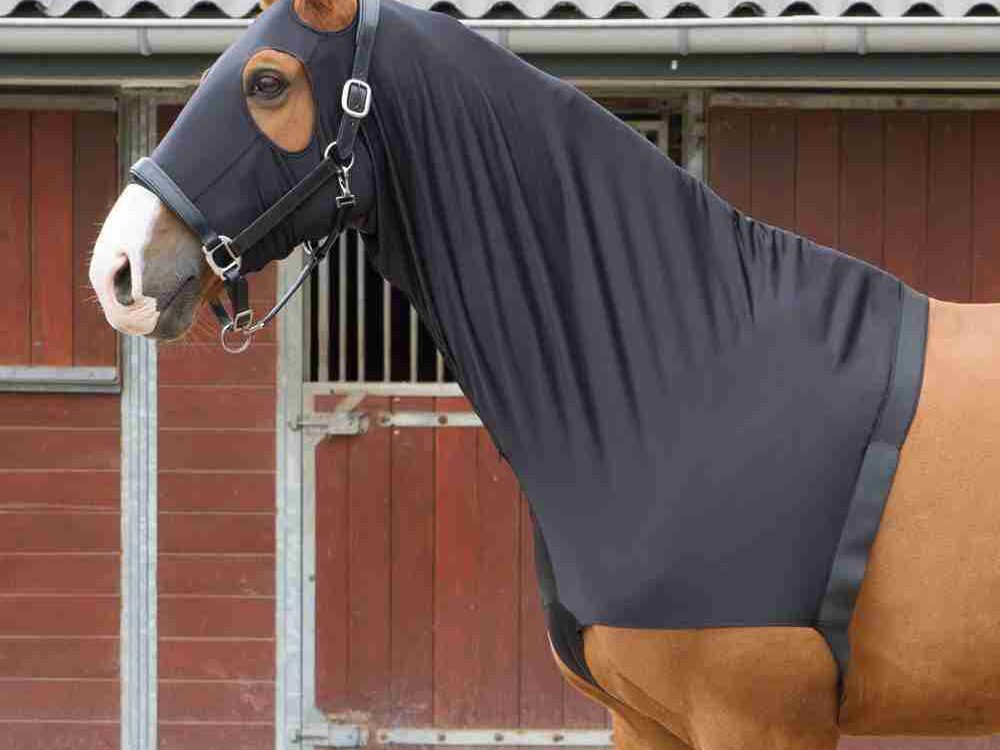 Harry's Horse Harry's Horse Borstbeschermer/hood Elastic