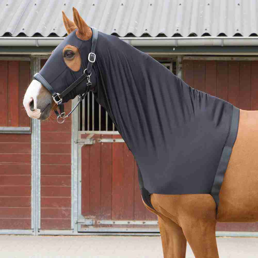 Harry's Horse Harry's Horse Borstbeschermer/hood Elastic