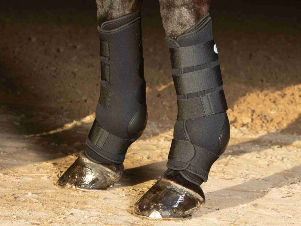Harry's Horse Harry's Horse Beenbeschermers Magnetic
