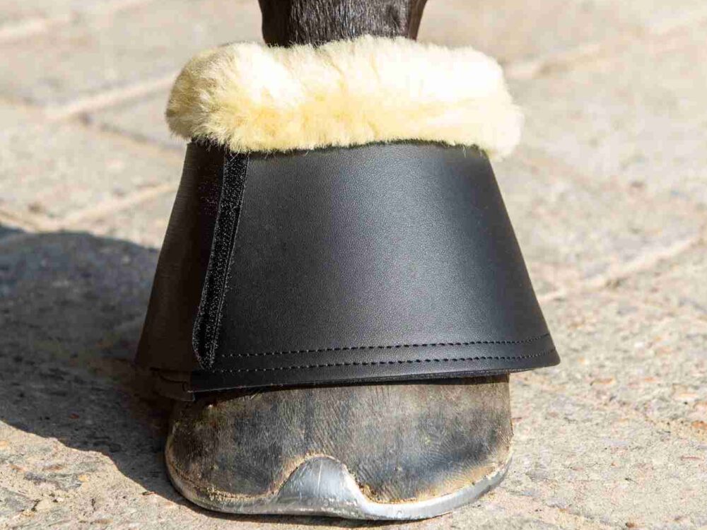 Springschoenen Merino