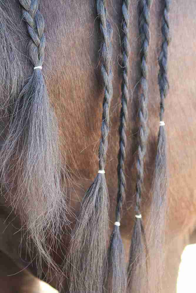 Magic braids Transparent - Afbeelding 3