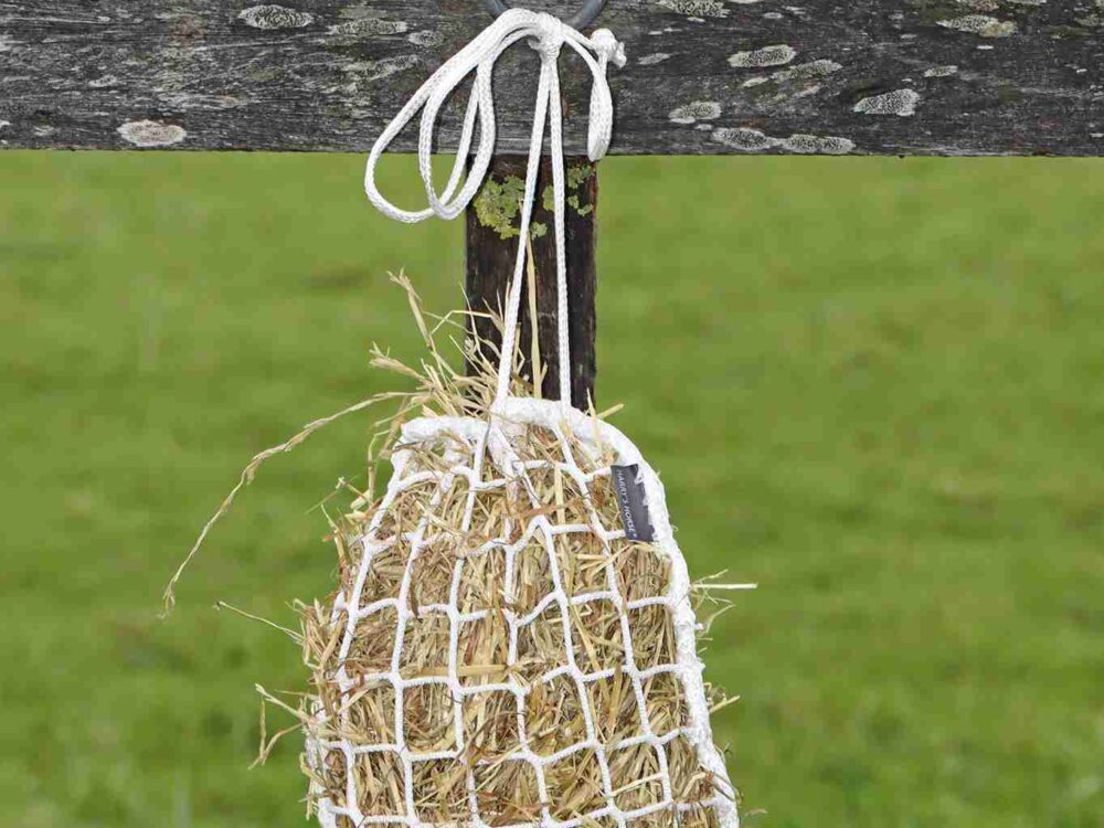 Hooinet Slow Feeder Mini 33x24 cm
